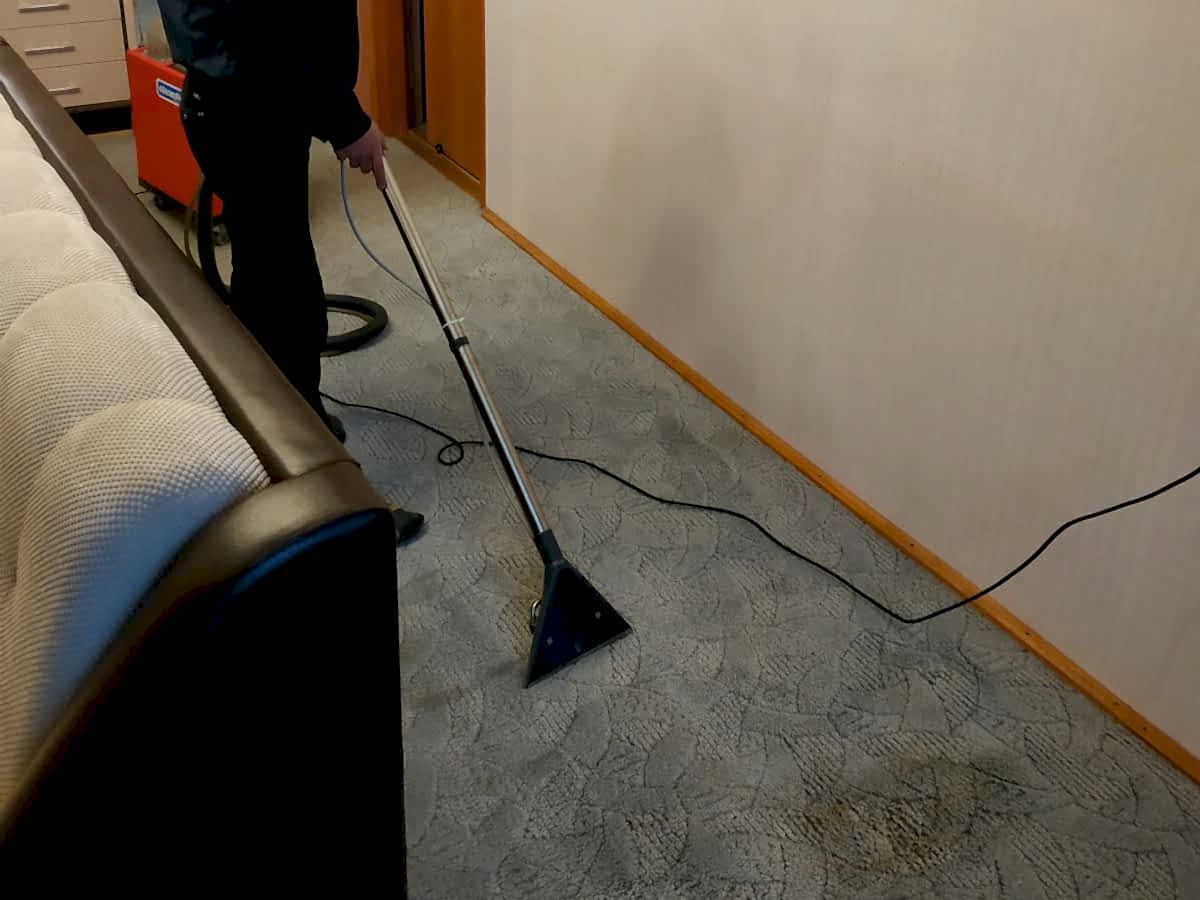 Химчистка ковролина на месте