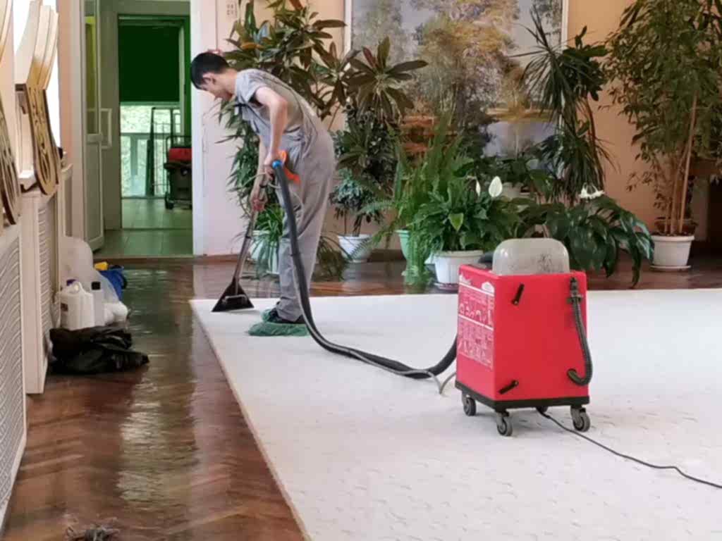 Удаление любых загрязнений с коврового покрытия