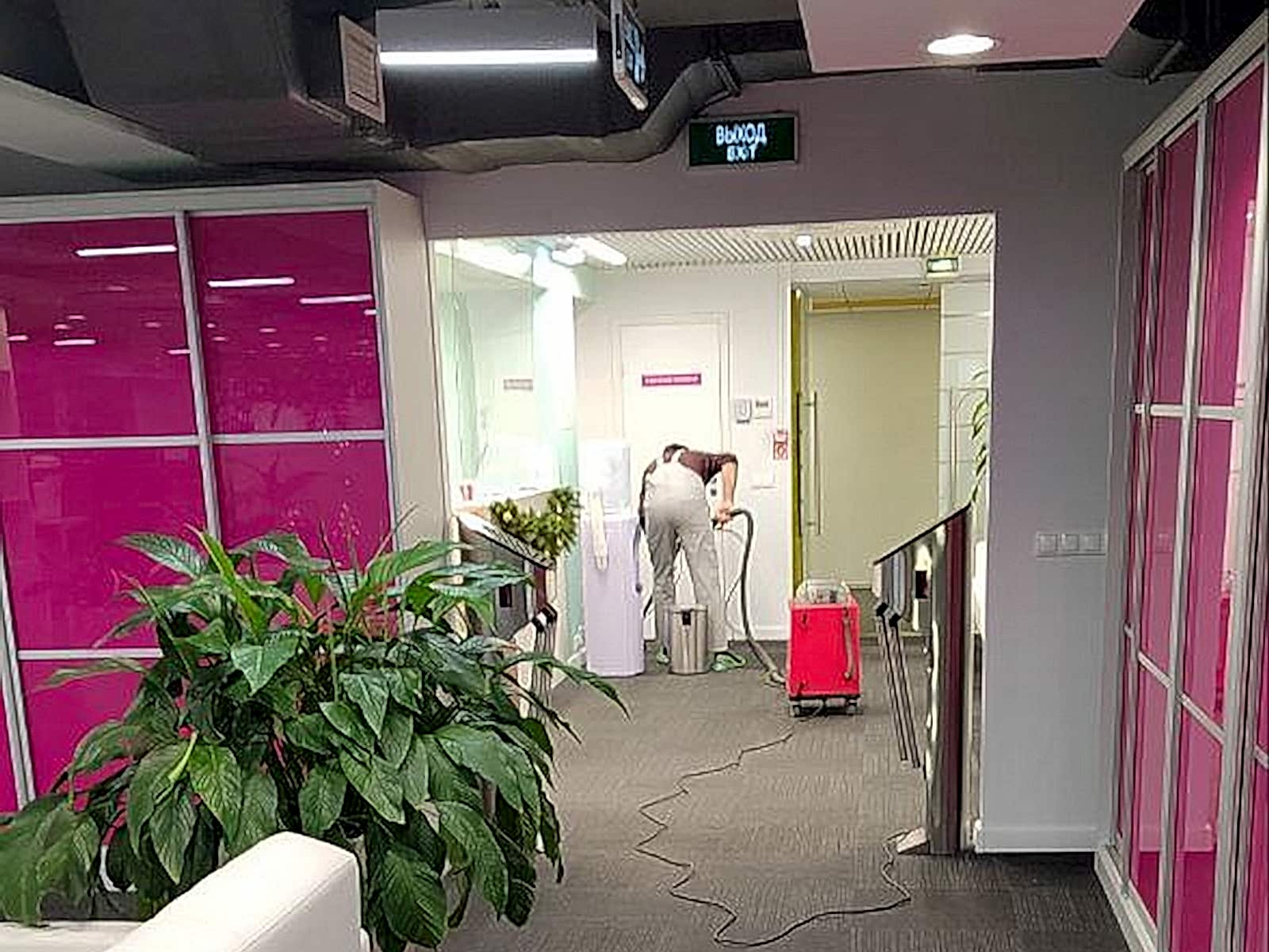 Химчистка ковролина на месте