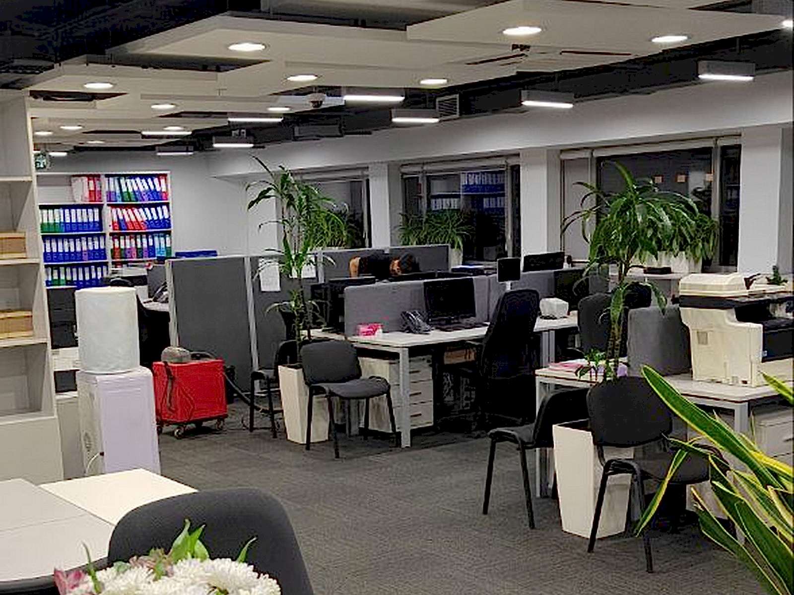 Химчистка ковролина на месте