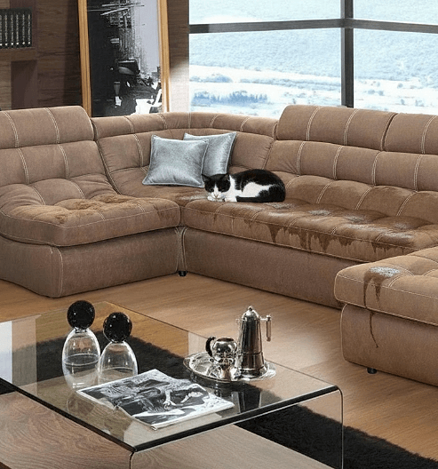 Чистка дивана от мочи