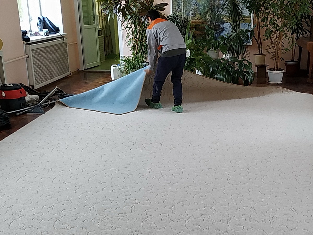 Химчистка ковра на месте Химчистка ковра на месте