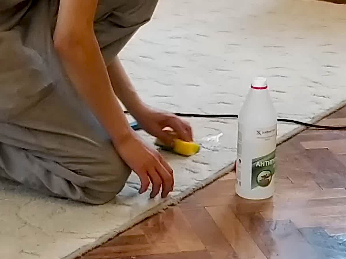 Химчистка ковра на месте Химчистка ковра на месте