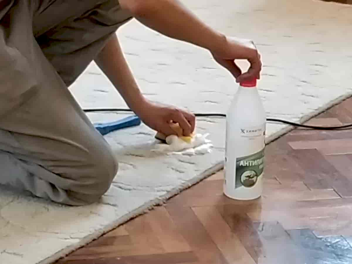 Химчистка ковра на месте Химчистка ковра на месте