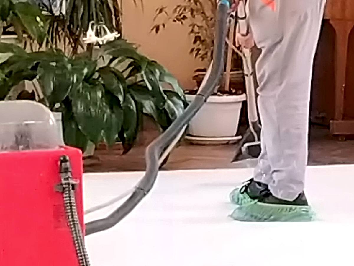 Химчистка ковра на месте Химчистка ковра на месте