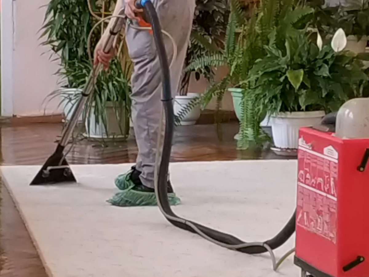 Химчистка ковра на месте Химчистка ковра на месте