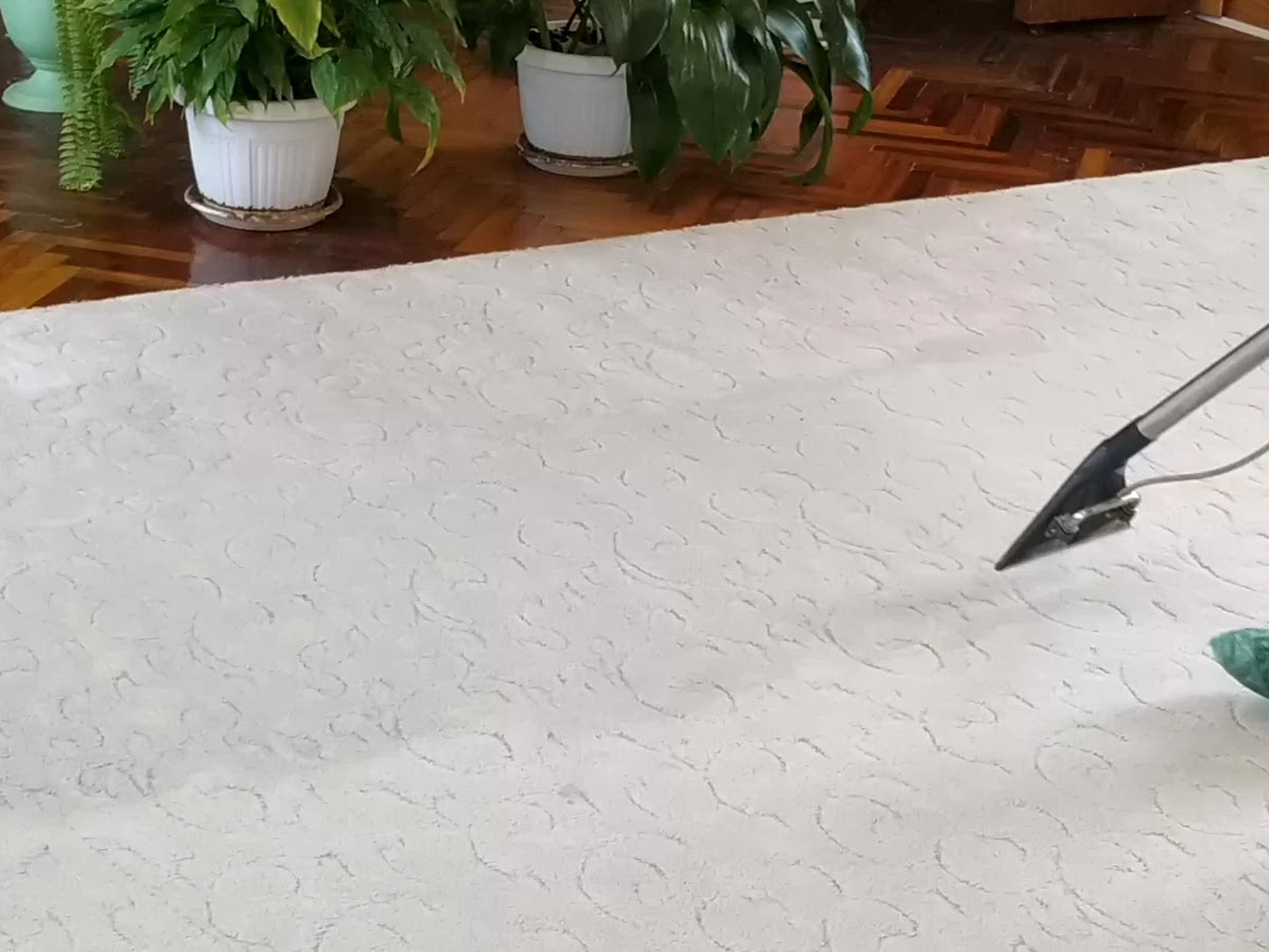 Химчистка ковра на месте Химчистка ковра на месте